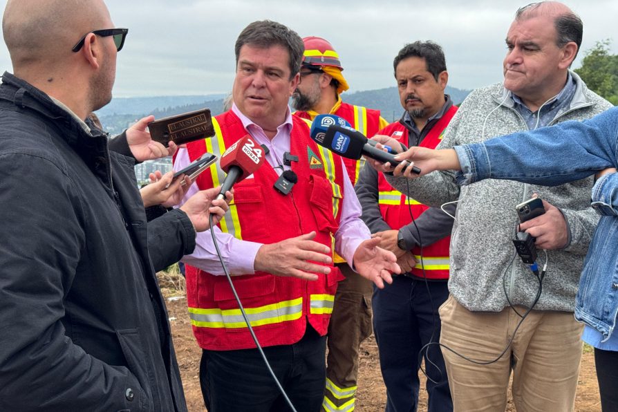 GOBIERNO IMPULSA PLAN REGIONAL DE CORTAFUEGOS PARA PREVENIR INCENDIOS FORESTALES EN LA ARAUCANÍA