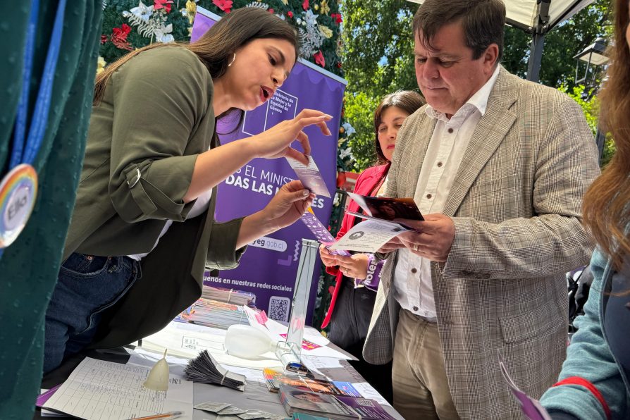 LA ARAUCANÍA CONMEMORA EL DÍA NACIONAL CONTRA EL FEMICIDIO CON LLAMADO A LA ERRADICACIÓN DE LA VIOLENCIA DE GÉNERO