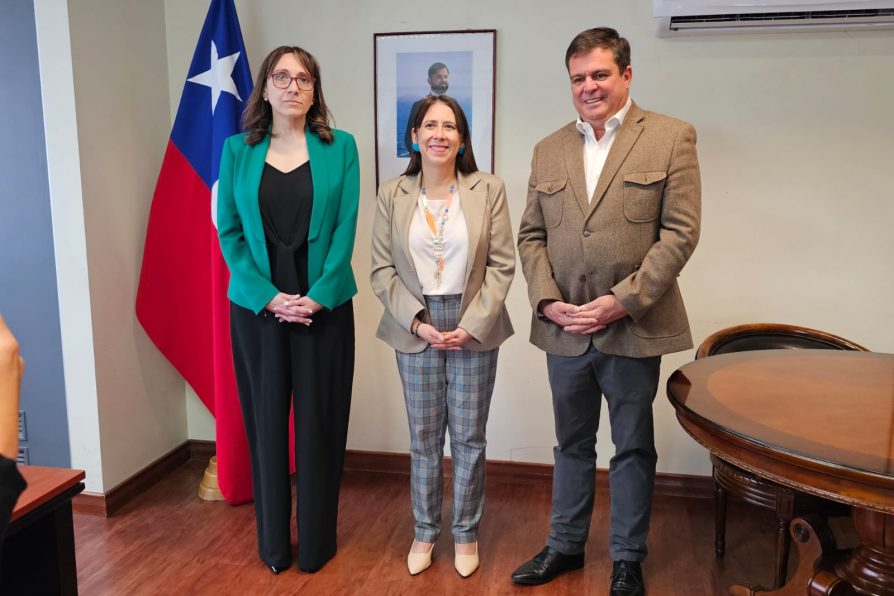 Servicio de Reinserción Social Juvenil llega a La Araucanía potenciando trabajo conjunto entre instituciones estatales