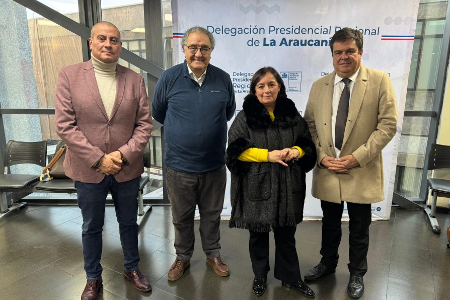 Avanza proceso de Consulta Indígena: Comité de Gobernanza se reunió con senadores de La Araucanía
