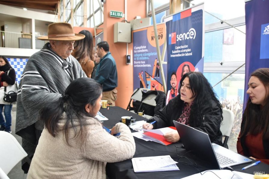 Nuevo operativo de gobierno en terreno benefició a más de 100 vecinos de Cholchol