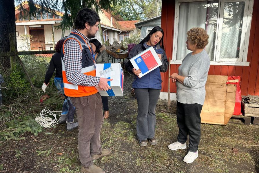 Gobierno entrega ayuda a familias afectadas por sistema frontal en La Araucanía