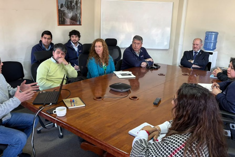 Autoridades visitan OVDAS y realizan trabajo preventivo para monitorear actividad del Volcán Villarrica